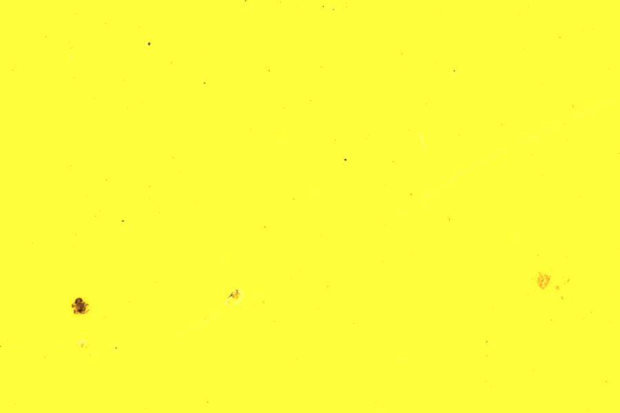 Image 34